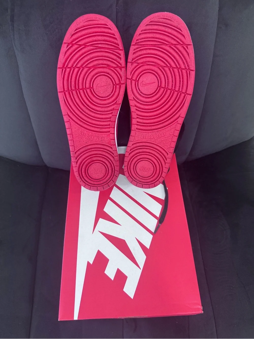 Nike Court Borough Low Recraft